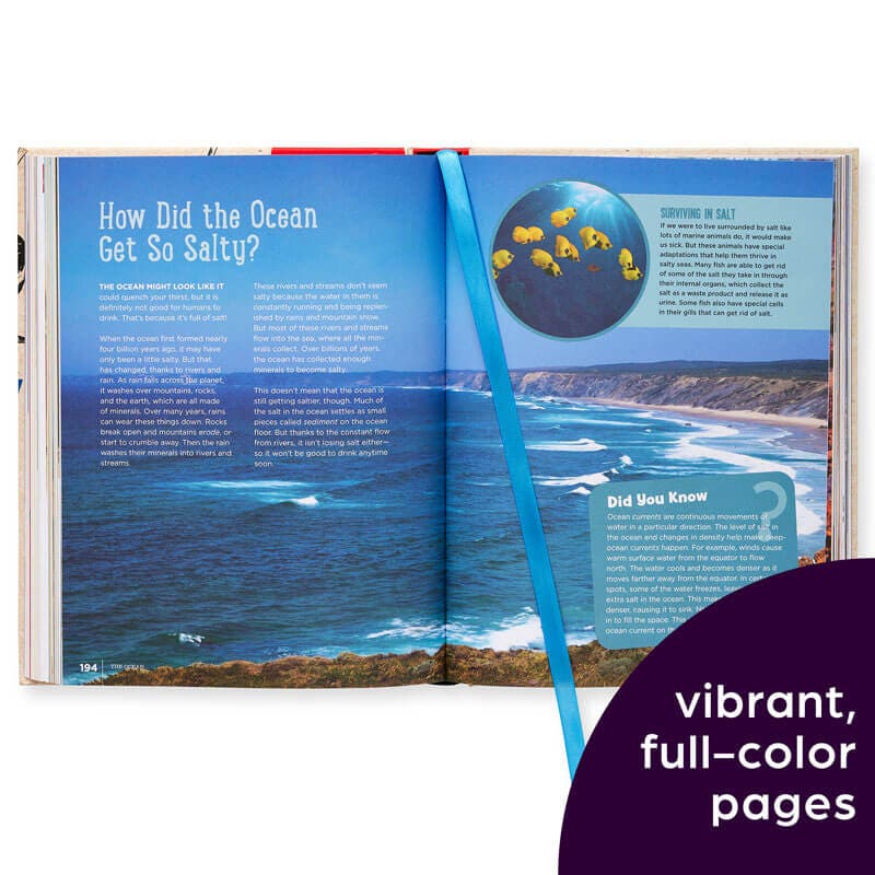 a2849-book-of-how_pdpimages_hl04.jpg