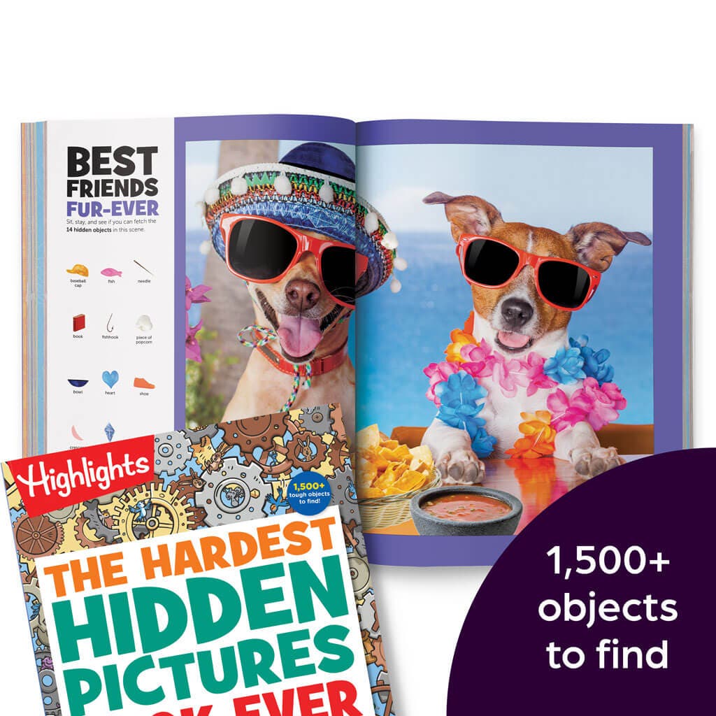 brainplay-and-hidden-pictures-bundle-a9912-04_1.jpg