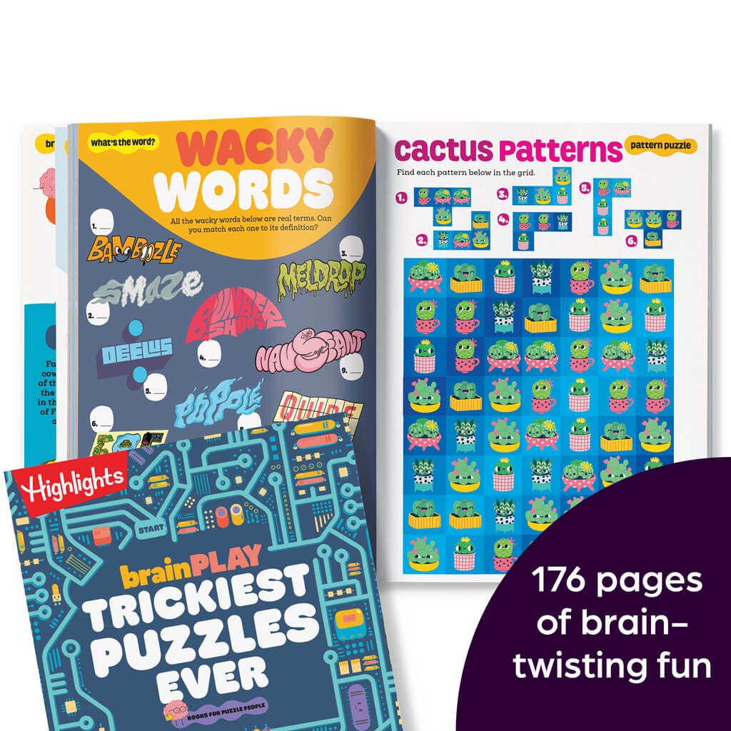 brainplay-and-hidden-pictures-bundle-a9912-06_1.jpg