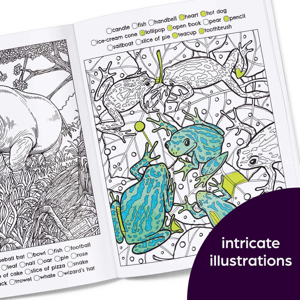 hidden-in-nature-hidden-pictures-coloring-book-a2435-06.jpg